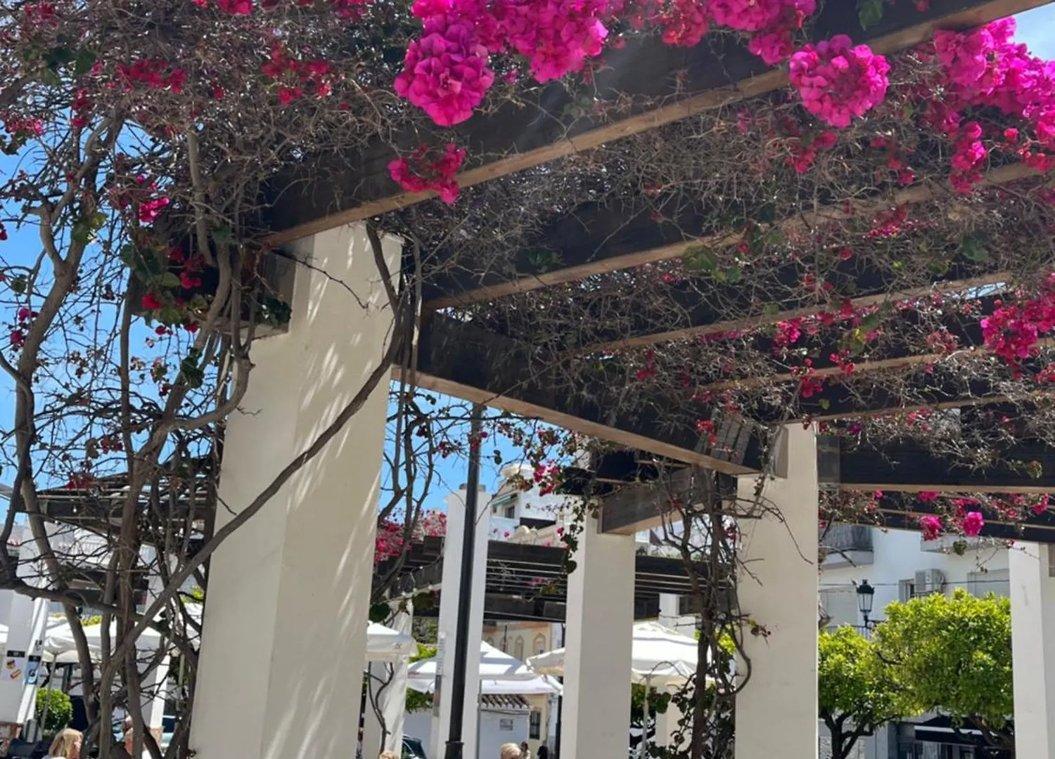 Sea & Pool View Garden Apartment Las Palmeras Nerja Spain